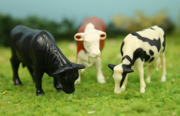 Cows - 1" Cattle-Assorted Pieces - Set of 6 - 102-2038