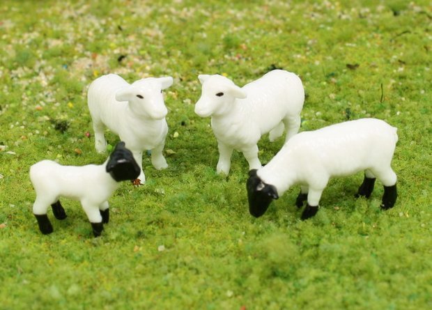 Sheep - 3/4" - Set of 6 - 102-2047