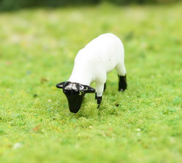 Sheep - 3/4" - Set of 6 - 102-2047