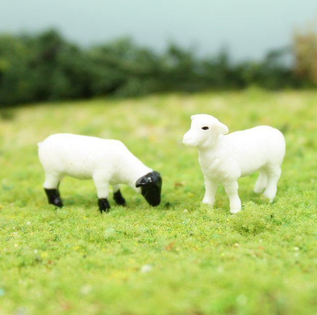 Sheep - 3/4" - Set of 6 - 102-2047