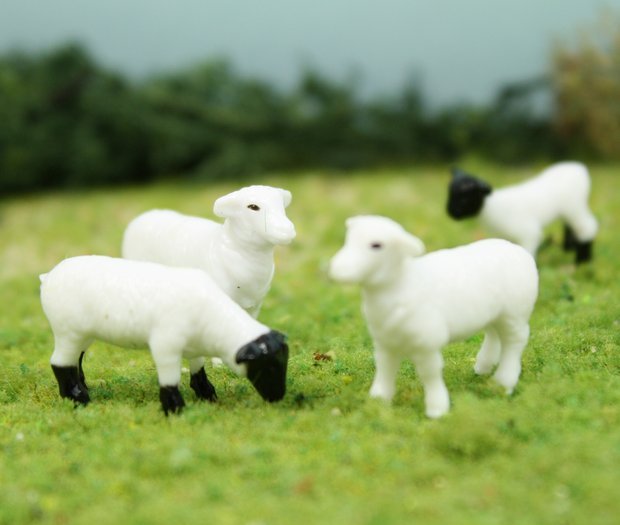 Sheep - 3/4" - Set of 6 - 102-2047