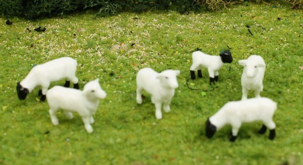 Sheep - 3/4" - Set of 6 - 102-2047