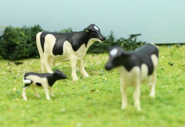 Cows - 1" Cattle-Holstein - Set of 5 - 102-2052