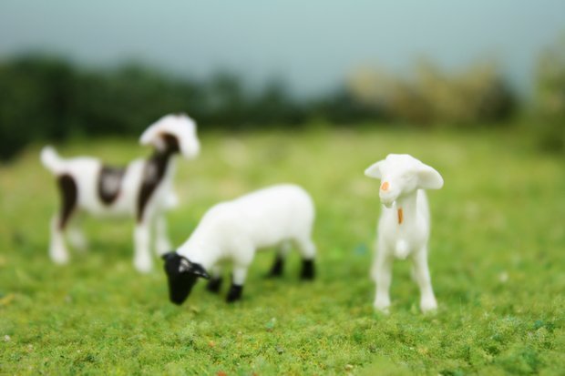 Goats & Sheep 3/4" - Set of 6 - 102-2062