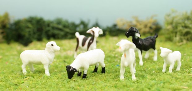 Goats & Sheep 3/4" - Set of 6 - 102-2062