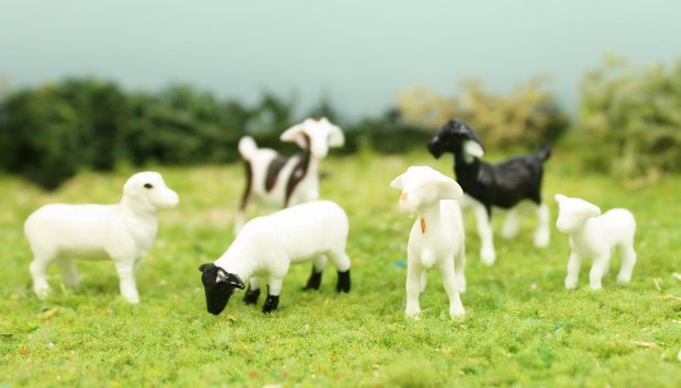 Goats & Sheep 3/4" - Set of 6 - 102-2062