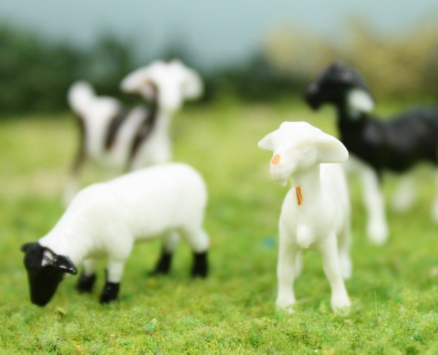 Goats & Sheep 3/4" - Set of 6 - 102-2062