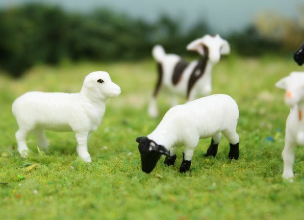 Goats & Sheep 3/4" - Set of 6 - 102-2062