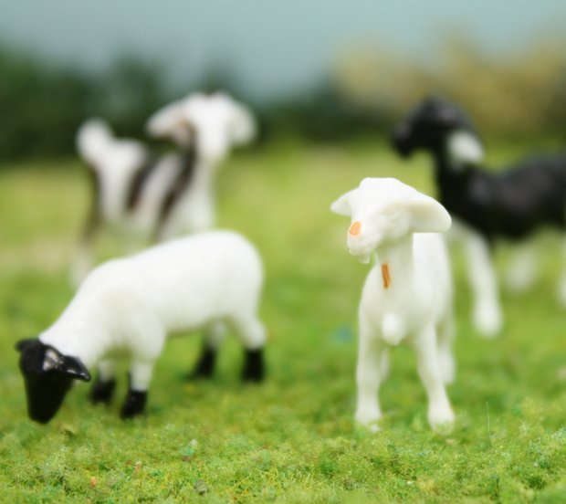 Goats & Sheep 3/4" - Set of 6 - 102-2062