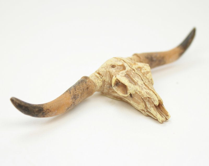 Old West Dry Cattle Skull - #118-1008