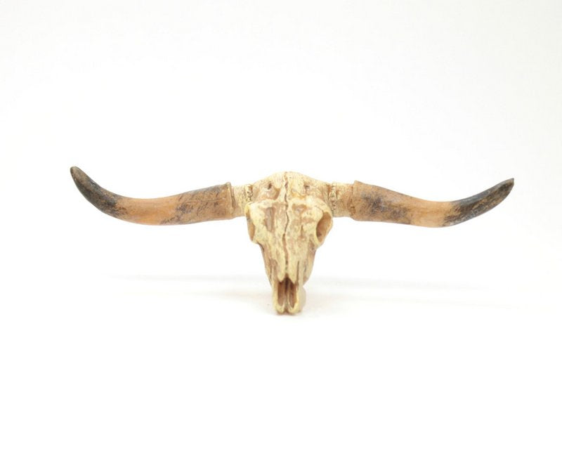 Old West Dry Cattle Skull - #118-1008