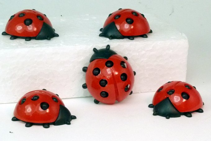 Geman Ladybugs - Extra Large - 203-3-063 - 6 Piece Set