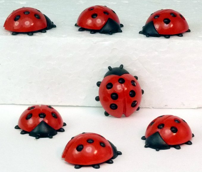 Geman Ladybugs - Large - 203-3-062 - 6 Piece Set