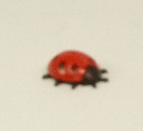 Geman Ladybugs - Tiny - 203-3-105