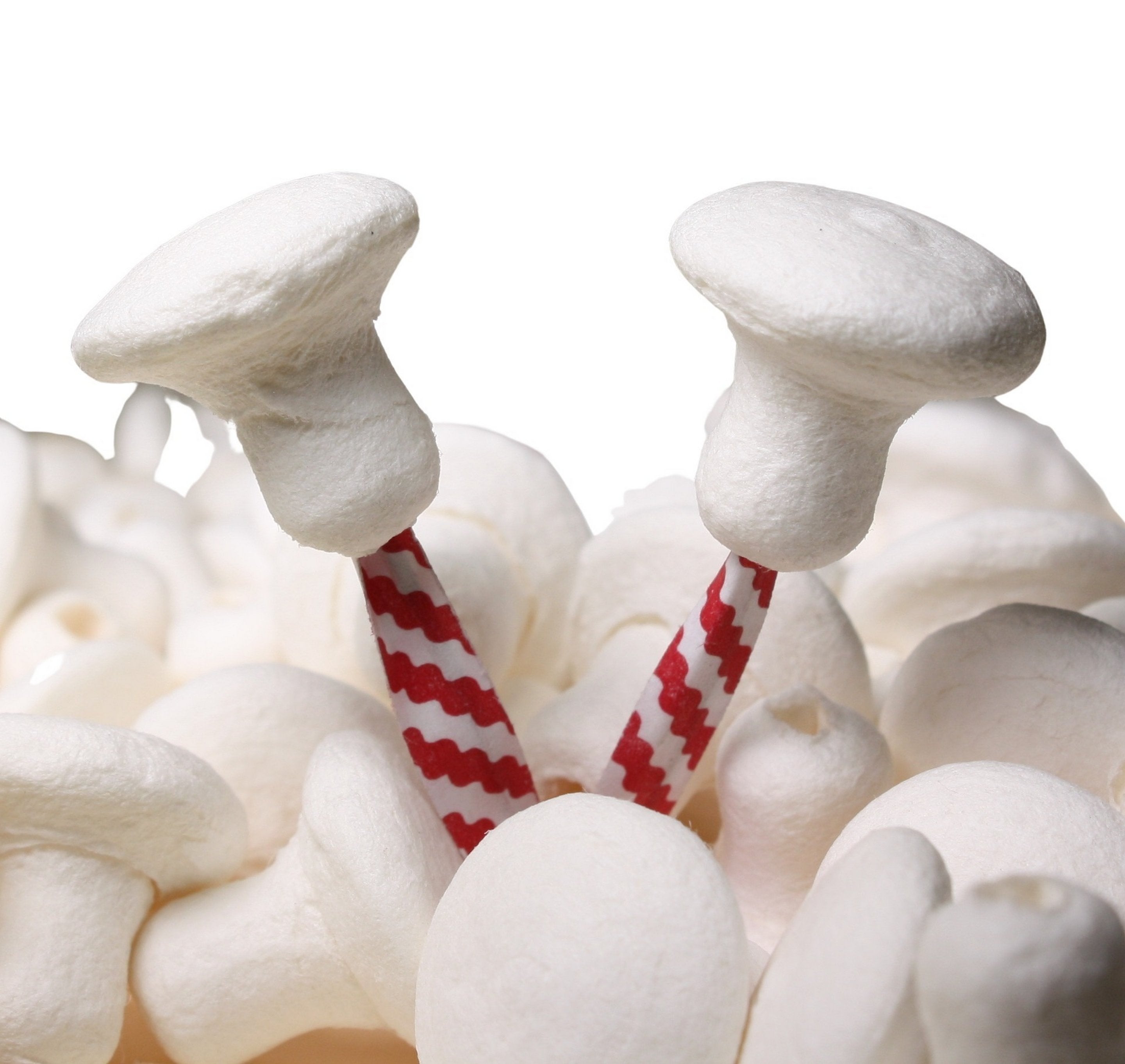 Mushrooms - Medium - 3/4" Spun Cotton - Set of 10 - 703-6180