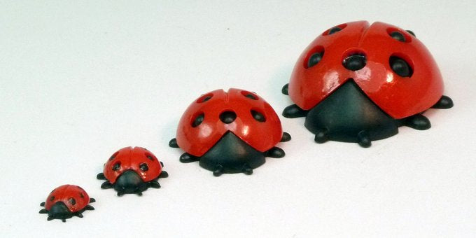 Geman Ladybugs - Medium - 203-3-109