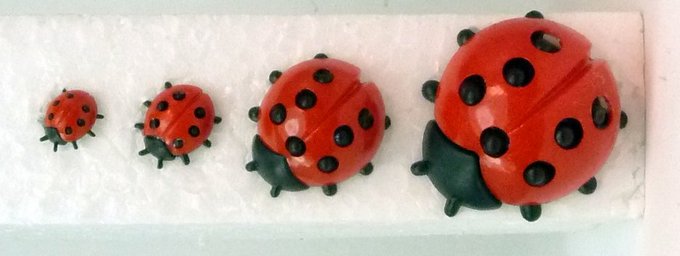 Geman Ladybugs - Medium - 203-3-109