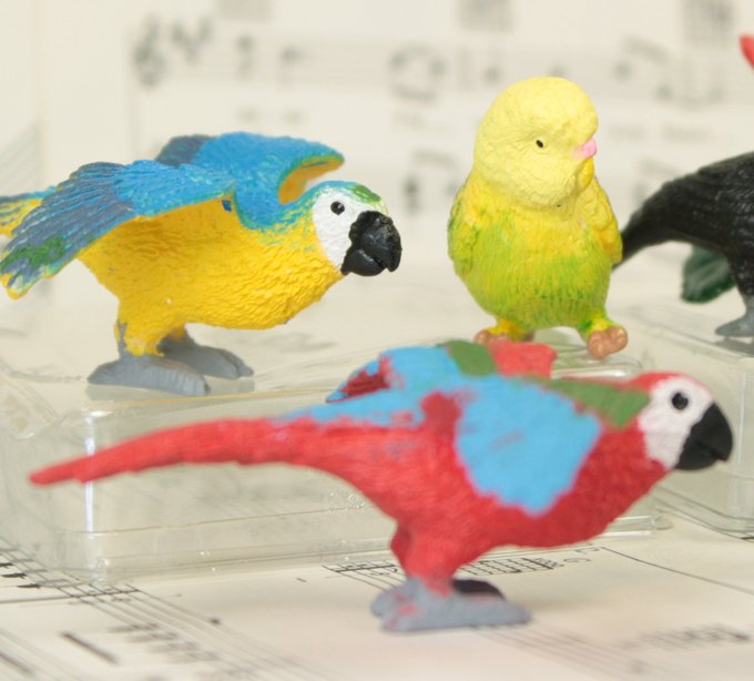 1.5" Exotic Bird Set -  Set of 11 - 268-0404